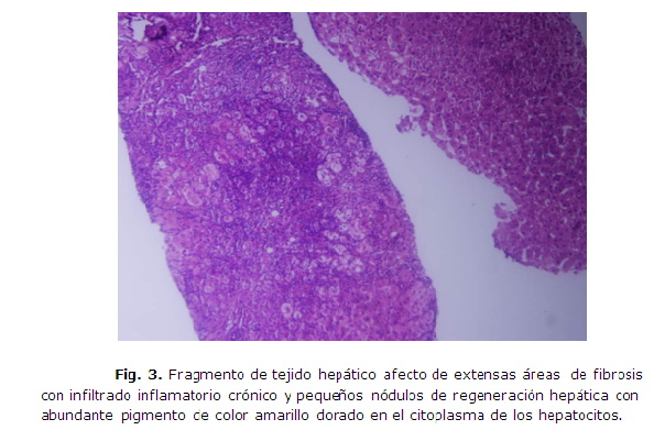 fig3